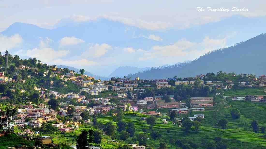 “Kumauni Cuisine & Almora’s Food Culture: A Delicious Journey”