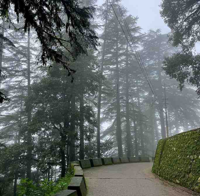 Landour